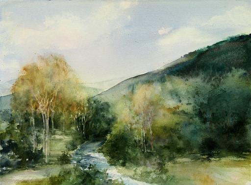 Hills and Creek